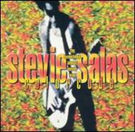 Sometimes Almost Never Was : Stevie Salas | HMVu0026BOOKS online - PCCY-1280
