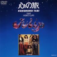 �S�̗� �`�`���[���b�v�E�r�f�I�E�N���b�v�X�`