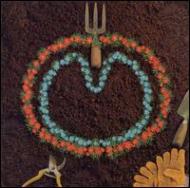 Homegrown -Wasp Star Home Demos