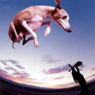Paul Gilbert/Flying Dog