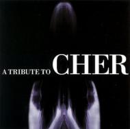 Tribute To Cher