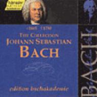 Хåϡ1685-1750/Brandenburg Concerto Violin Concerto Rilling / Stuttgart Bach Collegium