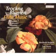 Flute Classical/B. kuijken Trockne Blumen-flute Music 19th Century First Half