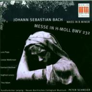 Mass In B Minor: Schreier / Neues Bachisches Collegium Popp T.adam