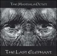 Mandala (Jazz)/Last Elephant