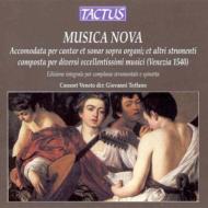 Musica Nova: Toffano(Rec)/ Consort Veneto