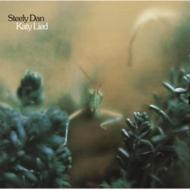 Katy Lied: �������P�C�e�B