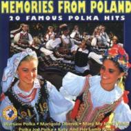 World Renowned Polka Bands/Memories From Poland - 20 Famous Polka Hits