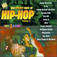 Various/Big Phat Ones Of Hip Hop Vol 2