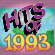 Various/Rock Hits Of 93
