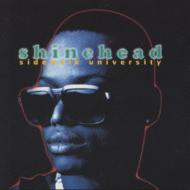 Sidewalk University : Shinehead | HMV&BOOKS online - AMCY-3027