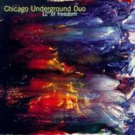 Chicago Underground Duo/12 Degrees Of Freedom