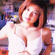 �t�@�C�u�X�^�[