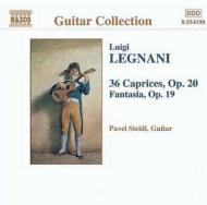 Guitar Works: Steidl