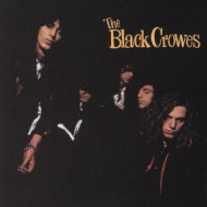 Shake Your Money Maker