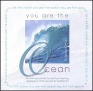 Gilead Limor/You Are The Ocean