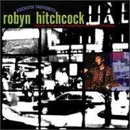 Robyn Hitchcock/Store Front Hitchcock