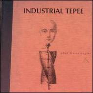 Industrial Tepee/What Divine Engine