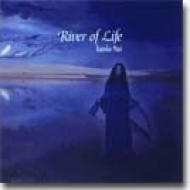 Rever Of Life : 金子マリ | HMV&BOOKS online - SRCL3351