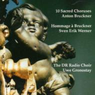֥åʡ (1824-1896)/Sacred Choruses Gronostay / Danish Radio. cho +werner Hommage A Bruckner