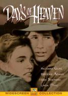 �V���̓��X