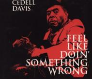 Cedell Davis/Feel Like Doin'Something Wrong