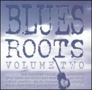 Various/Blues Roots Vol.2