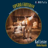 Clarinet Classical/Opera Fantasy Leister