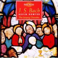 Organ Works Vol.10: Bowyer