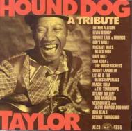 Hound Dog Taylor -A Tribute