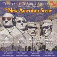 The New American Scene: Cleveland.co