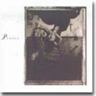 Surfer Rosa