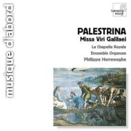 Missa Viri Galilaei: Herreweghe / La Chapelle Royale
