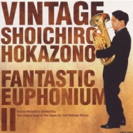 OˈY Vintage Fantasticeuphonium 2