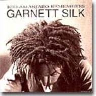 Killamanjaro Remembers : Garnett Silk | HMV&BOOKS online