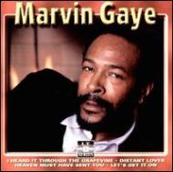 Sexual Healing : Marvin Gaye | HMV&BOOKS online - LT5013