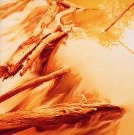 Depths : Windy & Carl | HMV&BOOKS online - 24