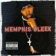 Memphis Bleek/Understanding
