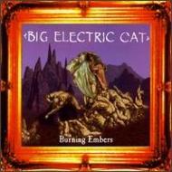 Big Electric Cat/Burning Embers Ep