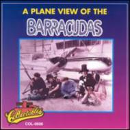 Barracudas/Plane View Of