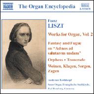 Organ Works Vol.2: Rothkopf(Org)