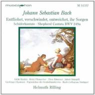 Cantata Bwv249a: Rilling, Concerto: Winschermann