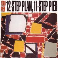 Ford Pier/12 Step Plan 11 Step Pier