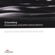 Transcriptions: Nagano / Soloistsof Lyon Opera.o