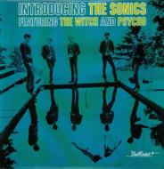 Introducing The Sonics (AiOR[h)