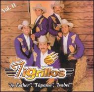 Tigrillos/Los Tigrillos Vol.2