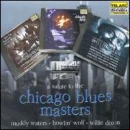 Various/Salute To The Chicago Blues Masters