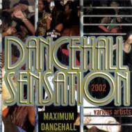 Various/Dancehall Sensation 2002