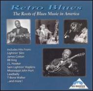 Retro Blues -Roots Of Blues Music In America