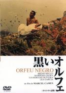 Orfeu Negro Tall Case